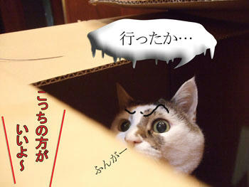 じどの相手はしてられないよ。