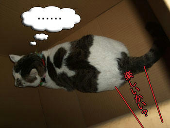 ･･･(￣.￣;)ｴｯﾄ(￣｡￣;)ｱﾉｫ(￣-￣;)ﾝｰ