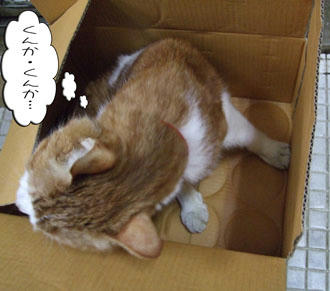 なんの匂いがするの～？(*´∇｀*)