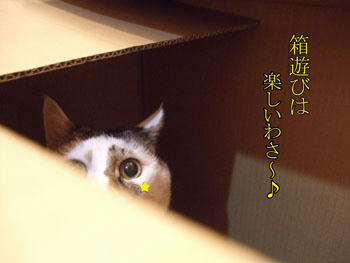 !?(ﾟ〇ﾟ;)ﾏ､ﾏｼﾞ...マジで楽しいの？