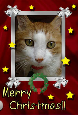 2010 Happy Xmas!