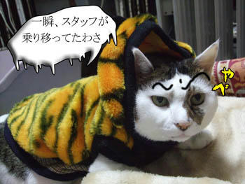 あ、そ…Σ(￣ε￣;|||･･･