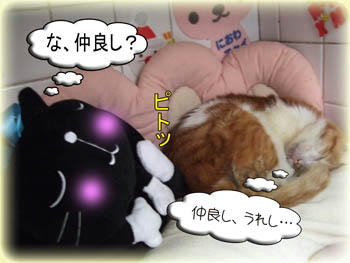 そ~だね。。 タハーッ(ノ∀`)ゝ