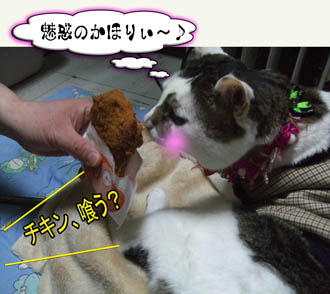 おひとりじゃないぞーーーっ!