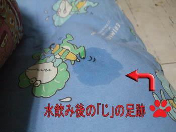 ひぃ～～、危ないかも？