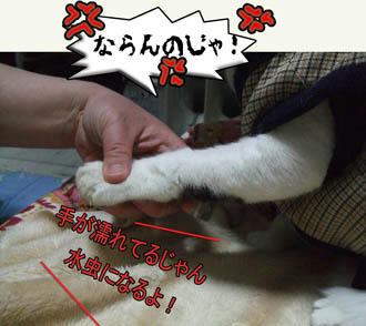 その自信はどこから？（汗