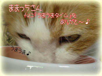 このお礼はオfu会へのご招待？ぶほっ