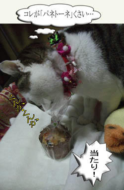 はよ、こっちによこしなさい！