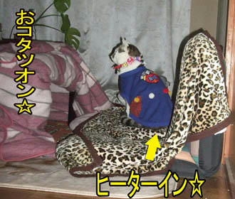 よく分かってらっしゃるわ。ぶっはっは～