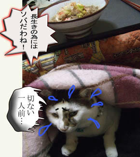 やっぱコレは外せないわね