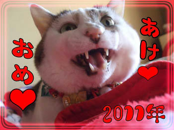 良い年になります様に…