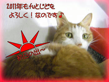 タンタンはエライ！（笑）