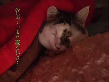 あ、そ…