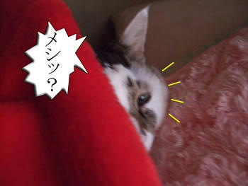 まだだよ。