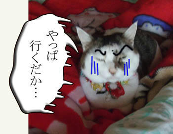 はよ、入りなさい！