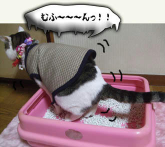ふっふっひ～、ひっひっは～