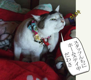 寛いでるわね～