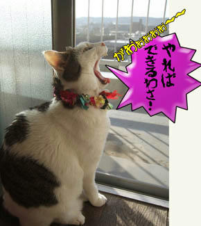 ヽ( )｀ε´( )ノ ﾌﾞｰﾌﾞｰ!!な～にを言うかっ！