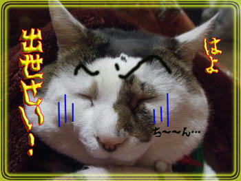 (￣ω￣)(ーωー)(￣ω￣)(ーω－)ｩｨｩｨ♪