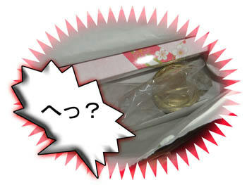 越前ちゃんの姿は今何処?
