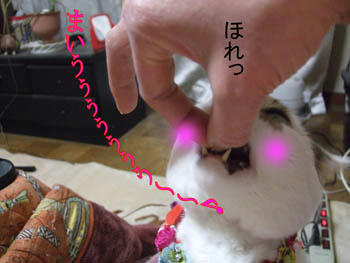 嬉しいのぅ～～うはうはっ