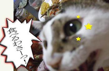 w(￣▽￣;)wﾜｵｯ!!超おメメ、キラキラ☆