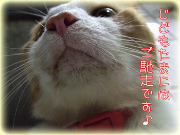 たま～には…ねっ