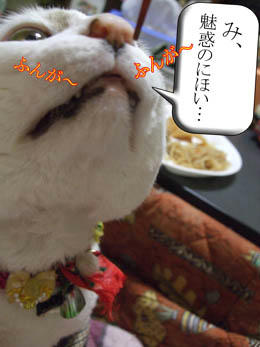何のにほいさ～