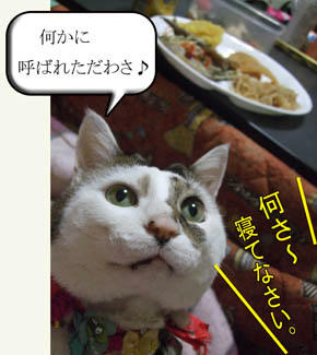 『お節ちゃん』はじどを呼んでませんよ～