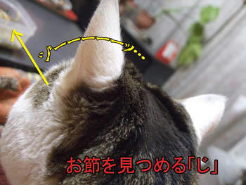 ♪「見てるだけ～」♪♪♪