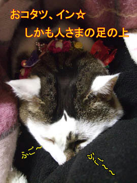 年に一度の楽しみに取っときな♪