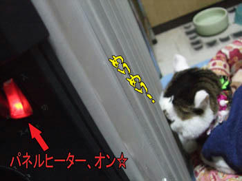 それ以上めり込んでどーする？