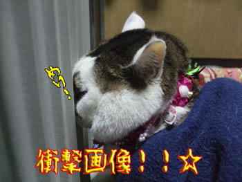 ∑(￣Д￣；)なぬぅっ！！