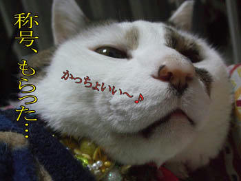 かっちょいいのか?