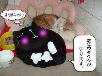幸せな眠りだったね…