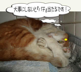もちろんっ!