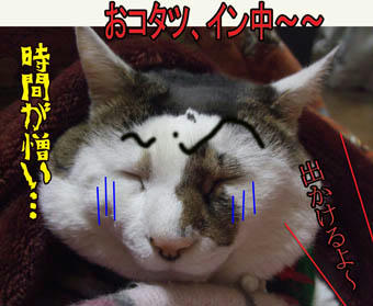 「ゴマちゃん」が待ってるよ!!