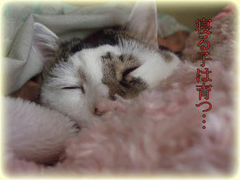 あ・の・ね～(￣◇￣；)