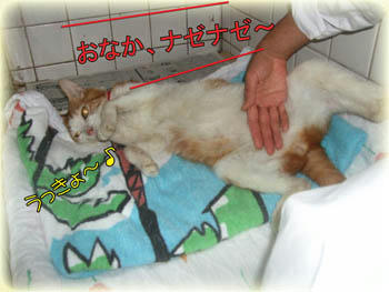 大好き…