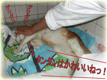 大好き…
