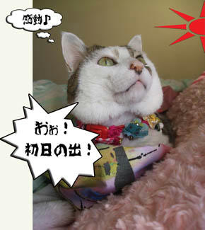 おっ?珍しい顔つき?