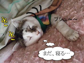 ゞ(`´ ) ナンだと?