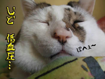 どっかで聞いたセリフ…(* ̄□ ̄*;