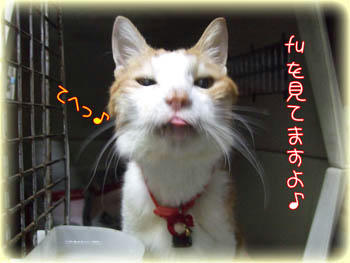 ホントに大好きだよ・・・