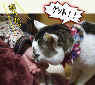 カルビか？タン塩か？