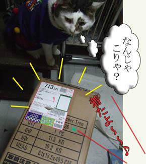 初めての「じ」物だわさ！喜べっ！