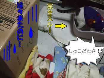 ( ̄□( ̄□( ̄□ ̄;)!!ガーンガーンガーン………