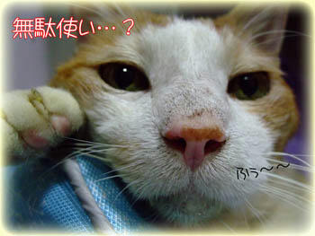 ・・・・・Σ( ̄⊥ ̄lll)・・・・・