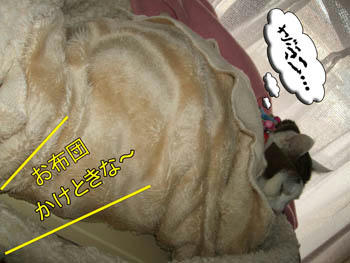 やっぱな…