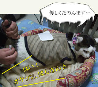 いつもの光景ね…
